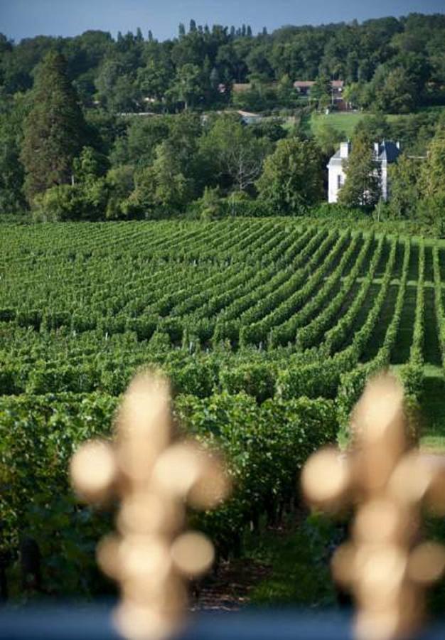 Chateau De La Ligne Lignan-de-Bordeaux Exteriör bild