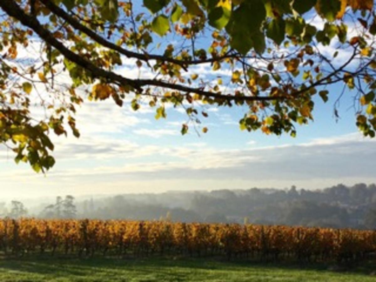Chateau De La Ligne Lignan-de-Bordeaux Exteriör bild